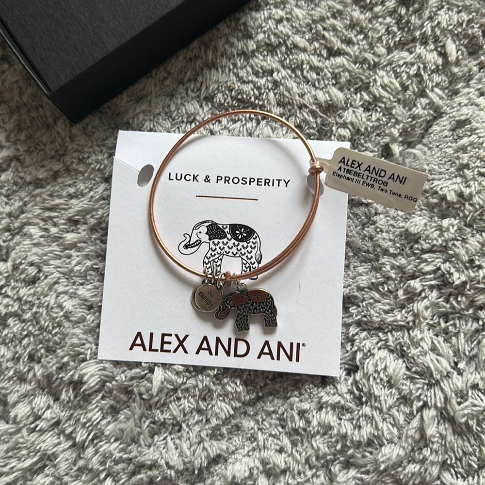 Alexi and Ani Bracelet